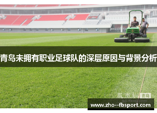 青岛未拥有职业足球队的深层原因与背景分析 青岛未拥有职业足球队的深层原因与背景分析